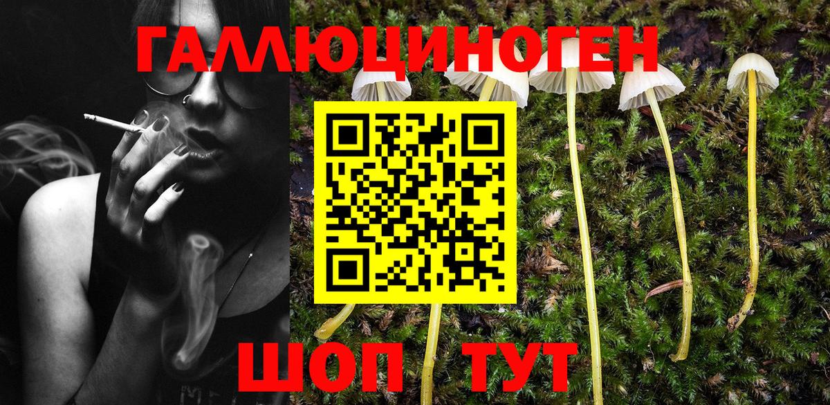 Серпухов  Псилоцибиновые грибы Psilocybine cubensis  Вход с VPN  Галлюциногенные грибы Psilocybe 